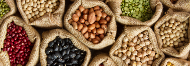 Photo Credit: Kudolife.com