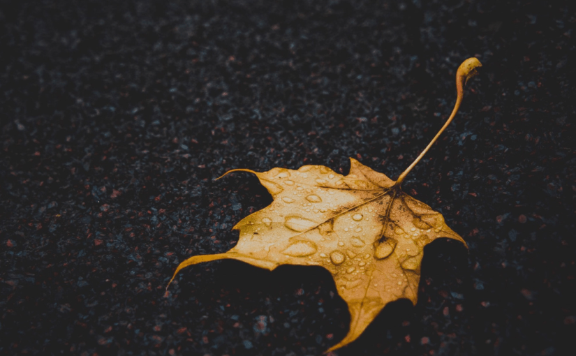 The Hidden Purpose of&nbsp;Suffering