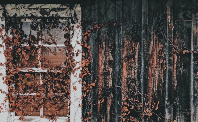 The World Needs&nbsp;Healers